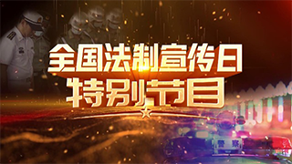 《全国法制宣传日特别节目》第三集《假将军的荒唐骗局》