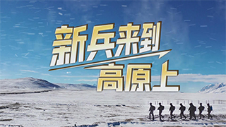新兵来到高原上