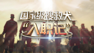 国家级搜救犬“入职记”