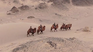 万里边关有我在 第3集 边防线上的特殊战友