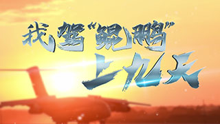 我驾“鲲鹏”上九天