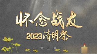 怀念战友2023清明祭 第3集 缅怀空战神鹰 王海