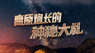 高原炮长的神秘大礼