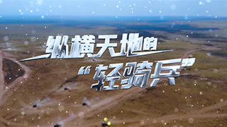 纵横天地的“轻骑兵”