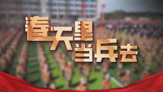 春天里 当兵去 第3集