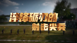 淬锋砺刃的射击尖兵