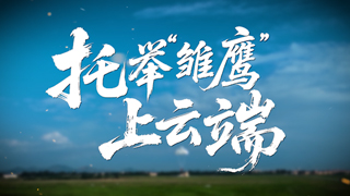  托举“雏鹰”上云端