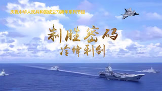 庆祝中华人民共和国成立73周年系列节目 制胜密码 冷锋利剑