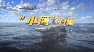 “小鹰”归巢