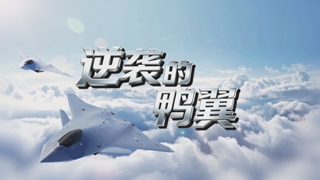逆袭的鸭翼