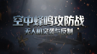 空中蜂鸣攻防战：无人机突袭与反制