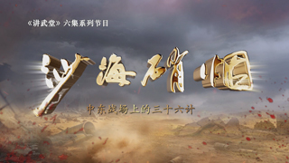 沙海硝烟：中东战场上的三十六计 第3集 攻战计
