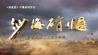 沙海硝烟：中东战场上的三十六计 第5集 并战计