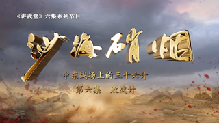 沙海硝烟：中东战场上的三十六计 第6集 败战计