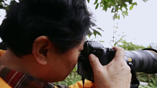 从“战地记者”到“和平使者”——“大熊猫摄影师”周孟棋