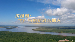 沈凤斌：与恐龙对话的人