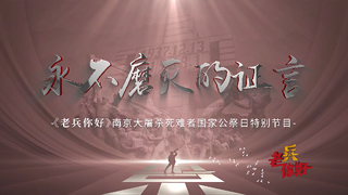 南京大屠杀死难者国家公祭日特别节目 永不磨灭的证言
