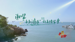 谢坚：“海岛鸿雁”的真情坚守