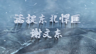 活捉东北悍匪谢文东