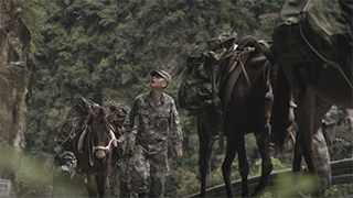 《那些无言的战友们》系列之《墨脱骡马运输队》